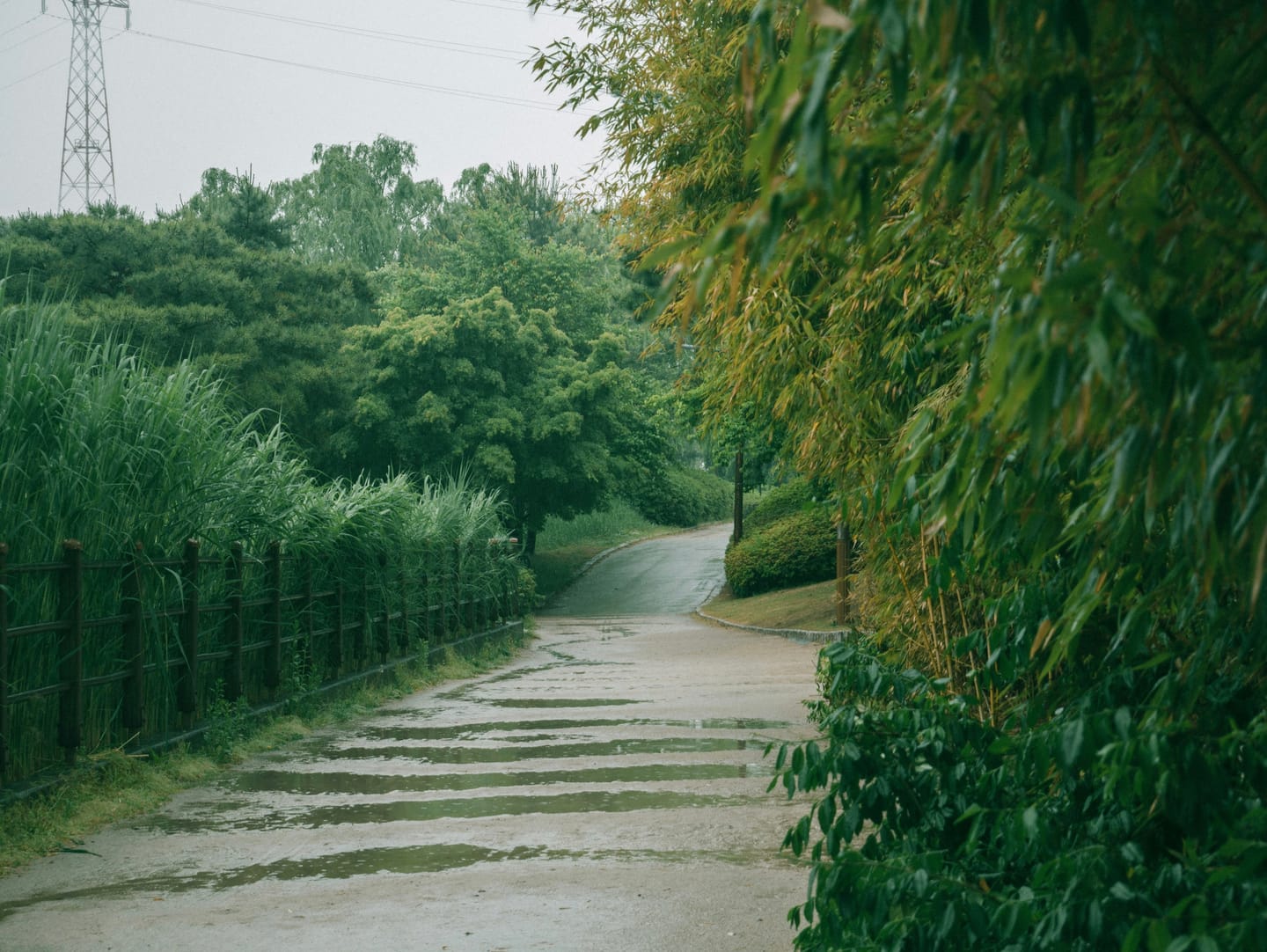 六月书评 —— 行于漫漫长路上