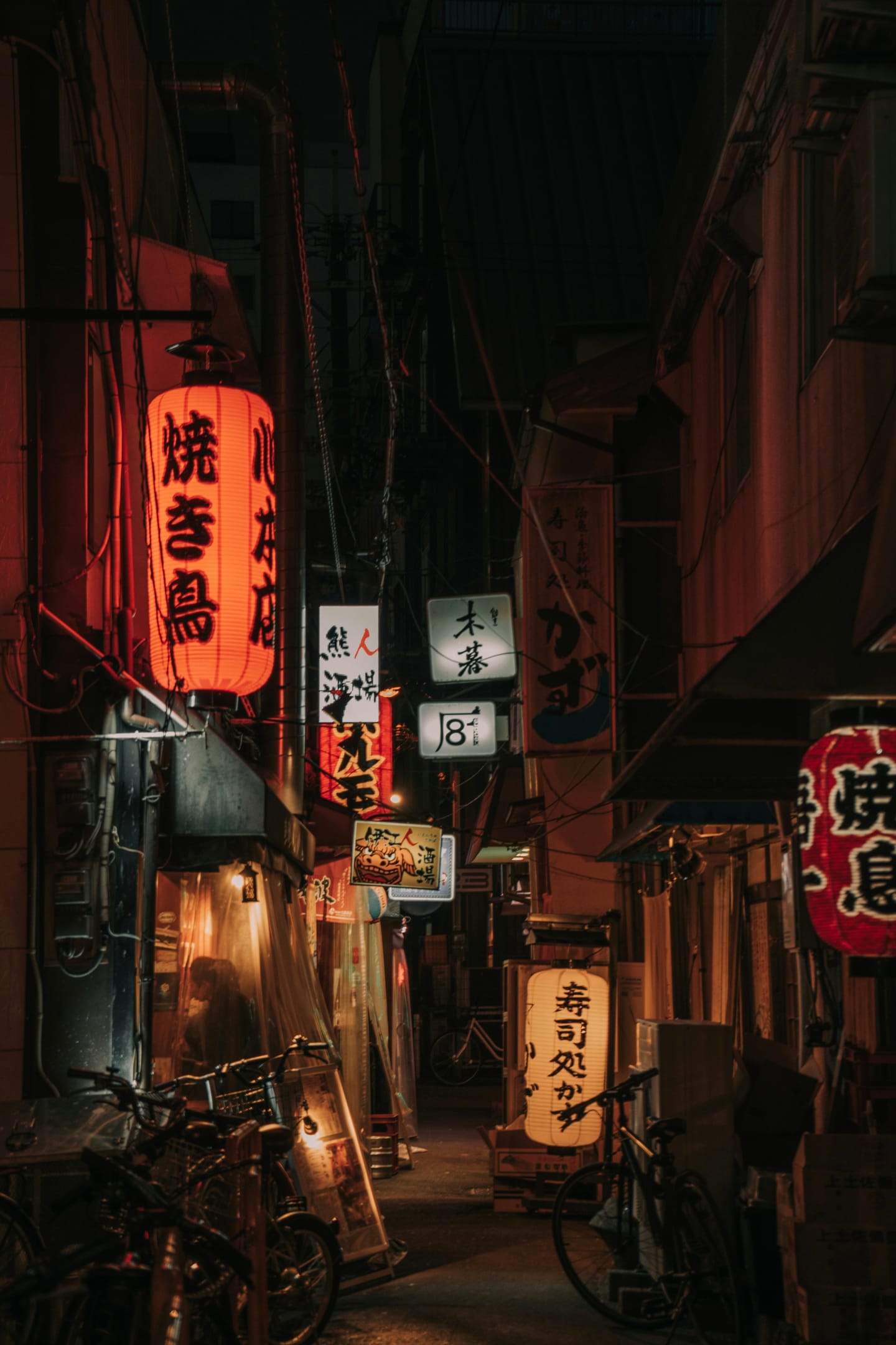 《路边的藤井》 - 寻常巷陌有清音